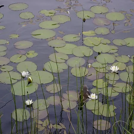 호텔 Schwarzer Adler